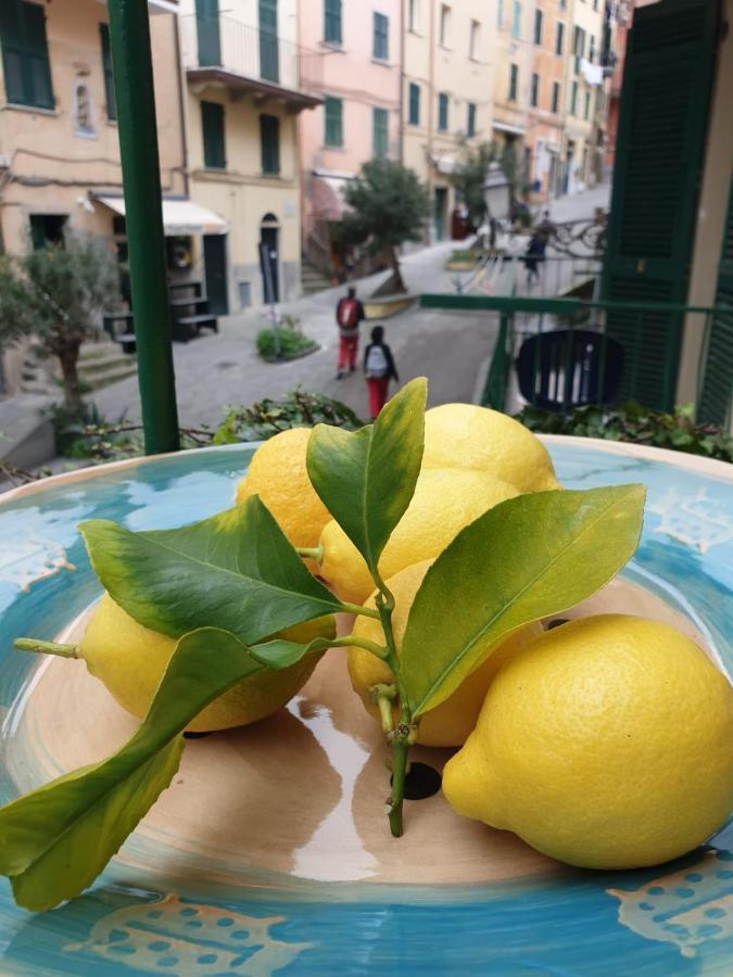 Ca'La Luna - In Centro Con Terrazza Daire Riomaggiore Dış mekan fotoğraf